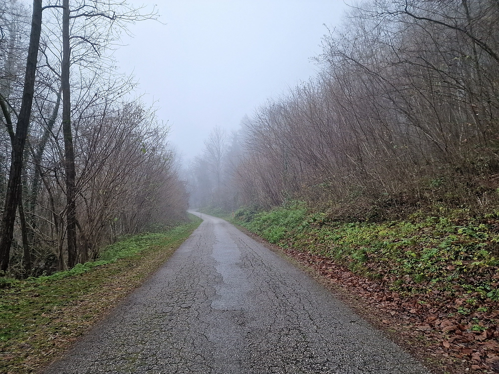 Ostrež, 7. 12. 2025