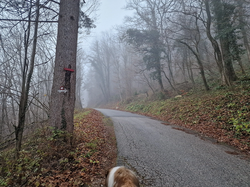 Ostrež, 7. 12. 2025