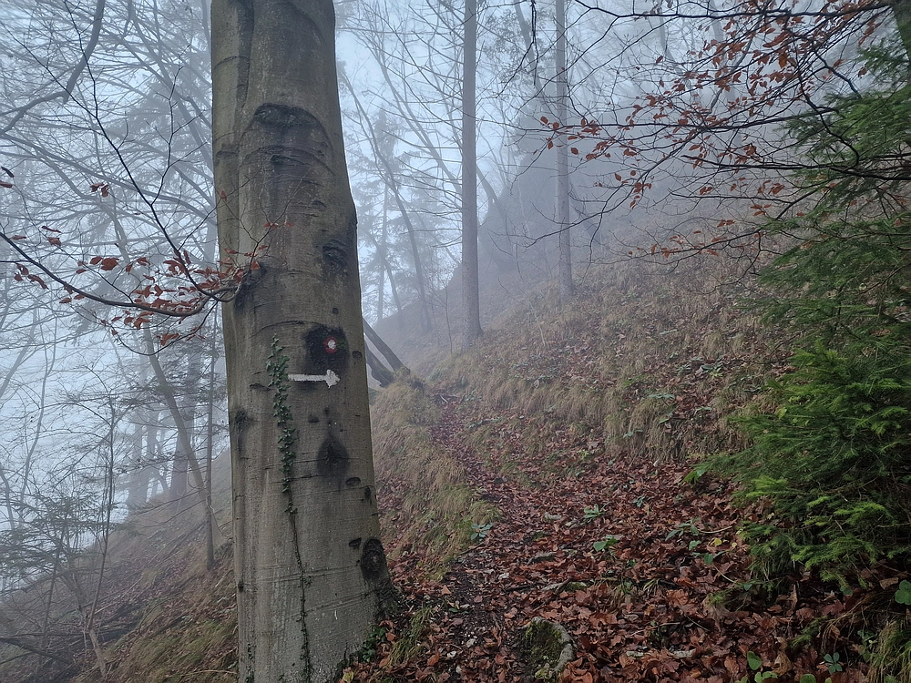 Ostrež, 7. 12. 2025