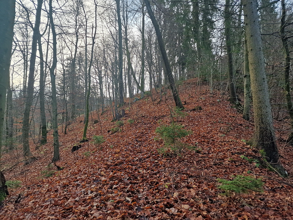 Ostrež, 7. 12. 2025