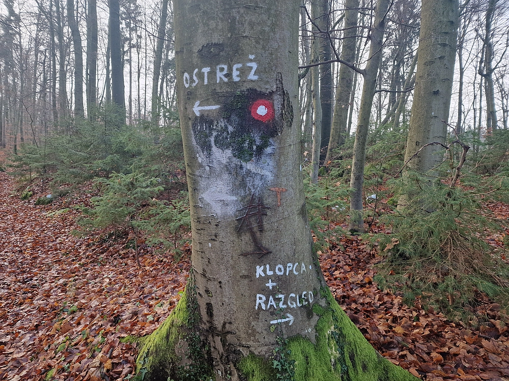 Ostrež, 7. 12. 2025