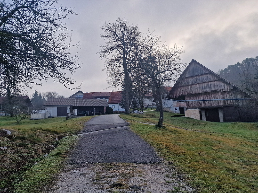 Ostrež, 7. 12. 2025