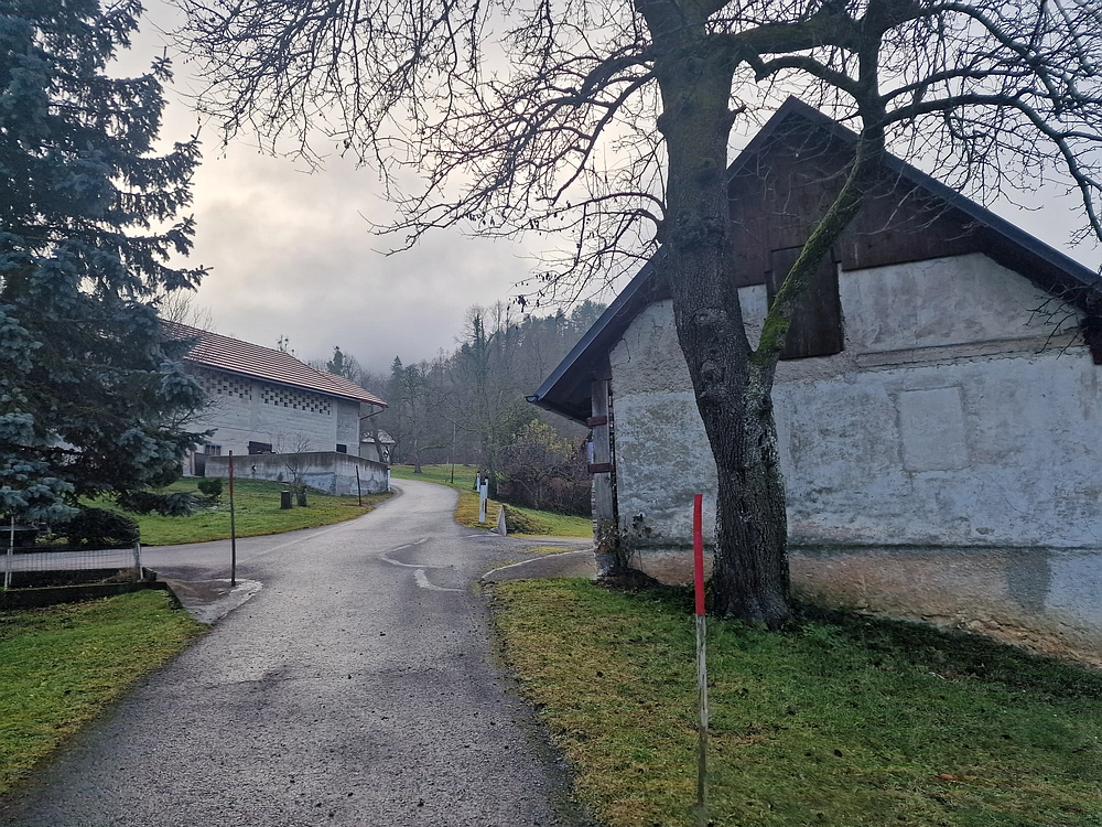 Ostrež, 7. 12. 2025