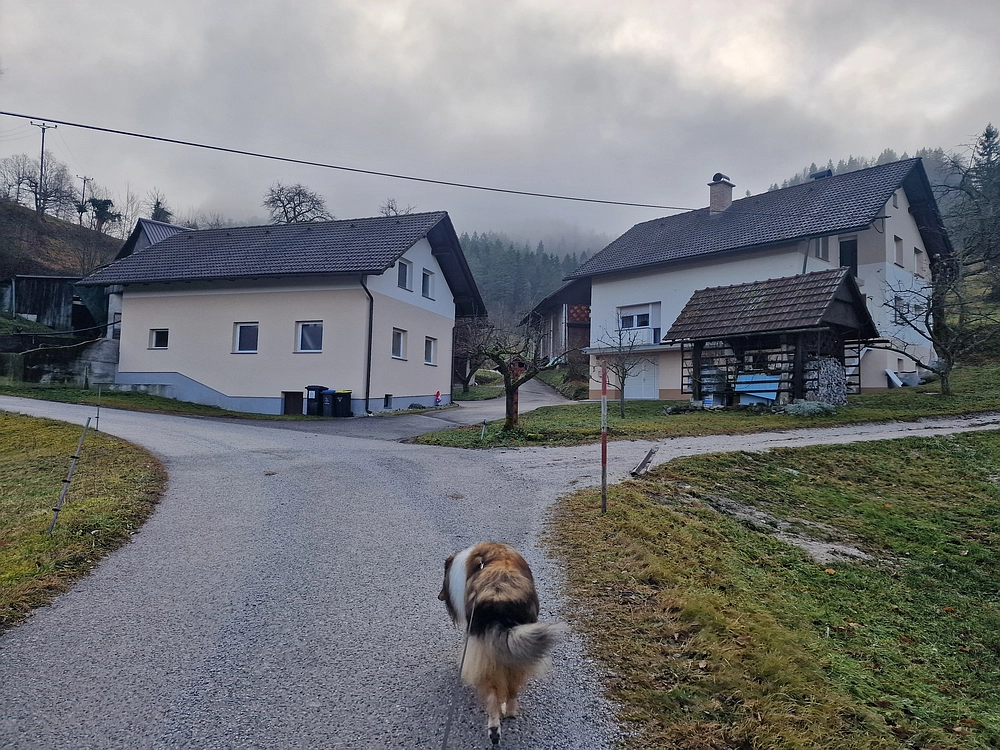 Ostrež, 7. 12. 2025