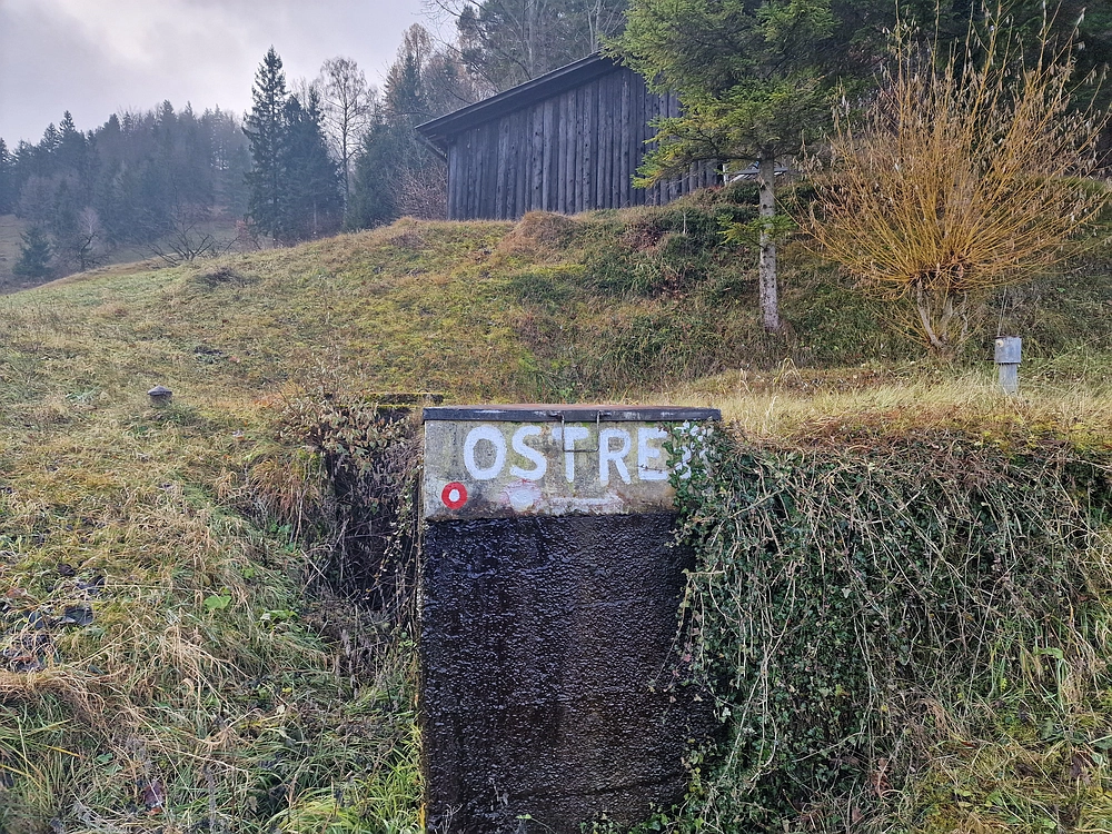 Ostrež, 7. 12. 2025