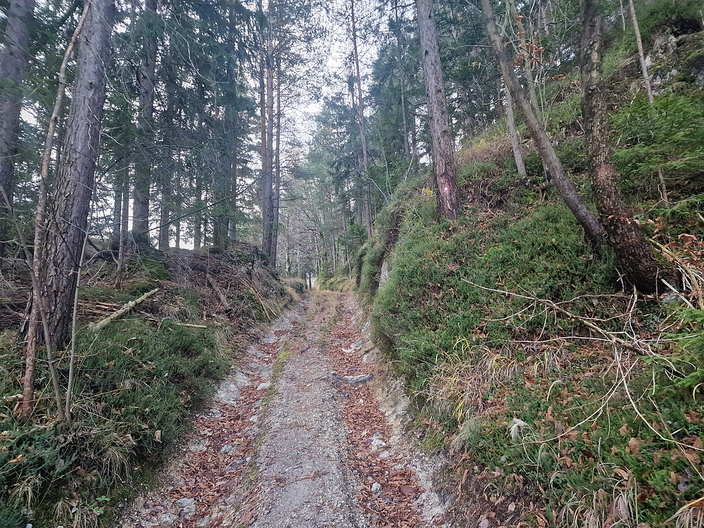 Ostrež, 7. 12. 2025