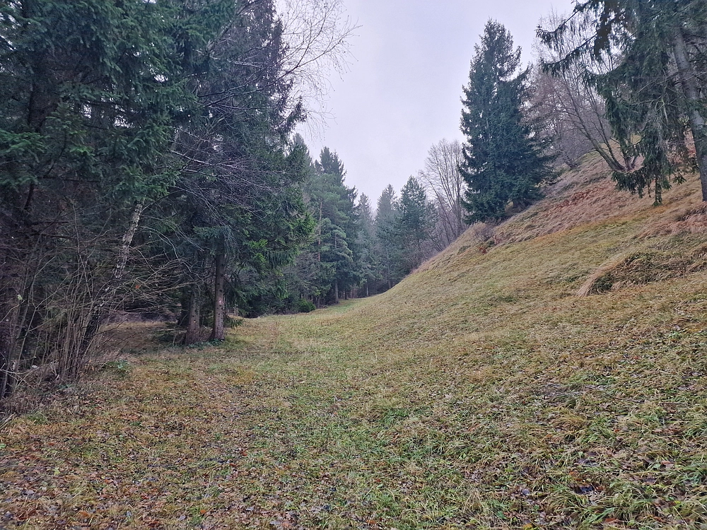 Ostrež, 7. 12. 2025