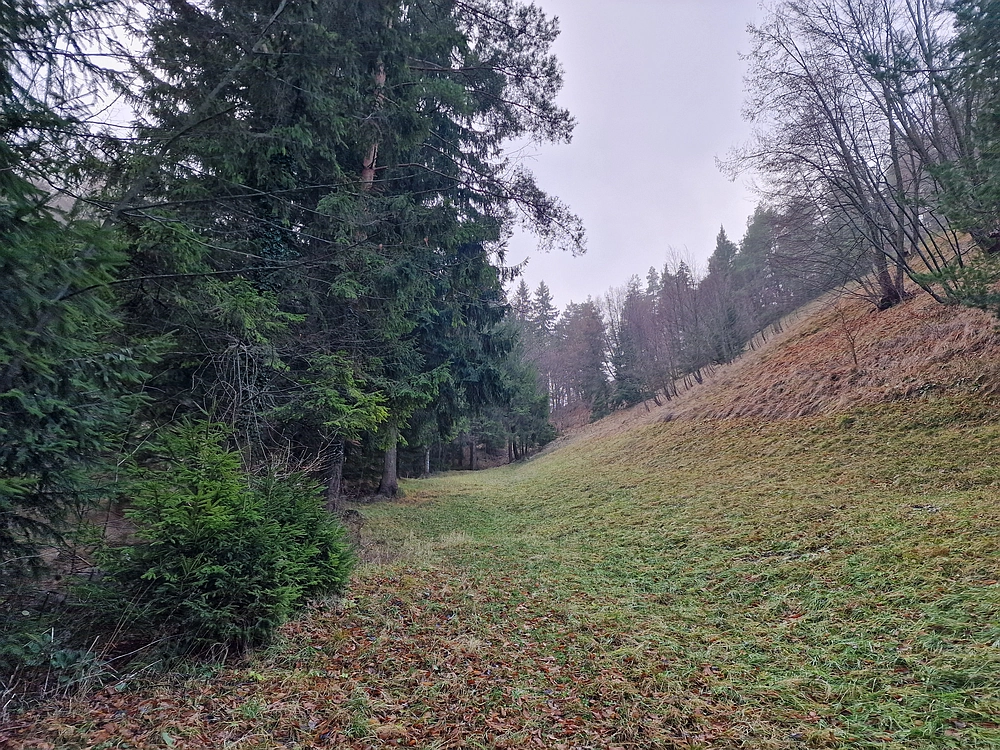 Ostrež, 7. 12. 2025