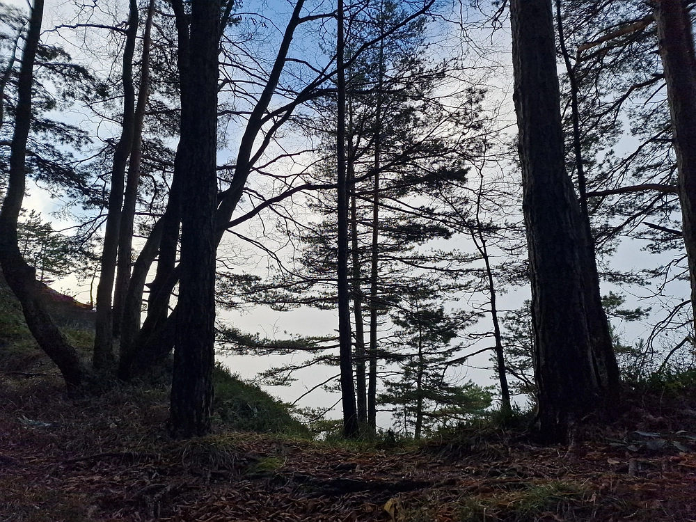 Ostrež, 7. 12. 2025