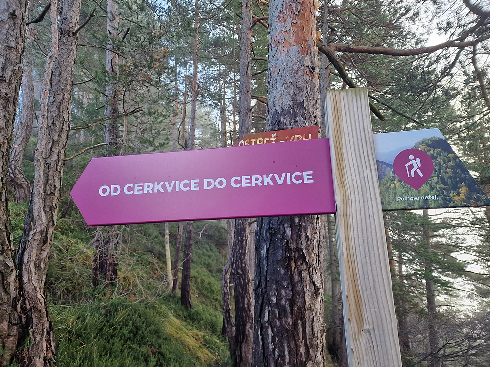 Ostrež, 7. 12. 2025