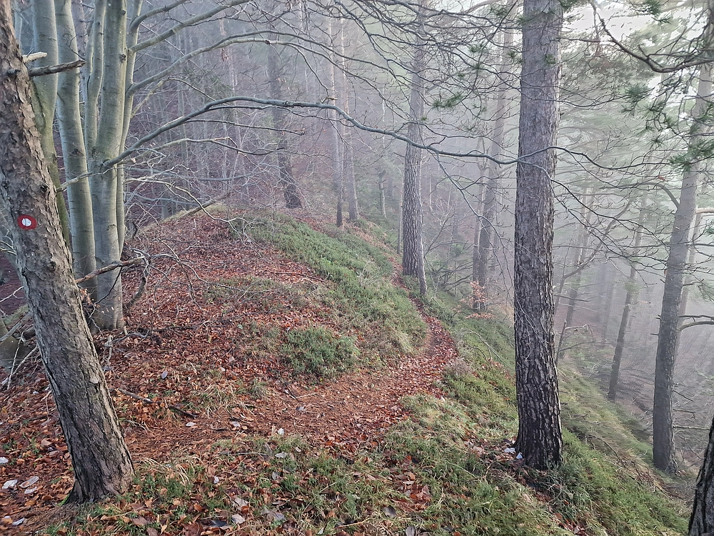 Ostrež, 7. 12. 2025