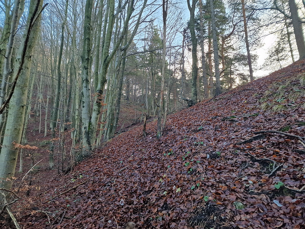 Ostrež, 7. 12. 2025