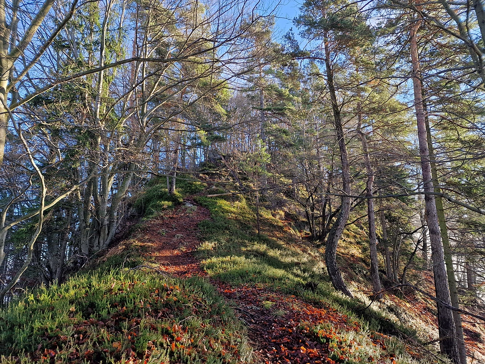 Ostrež, 7. 12. 2025