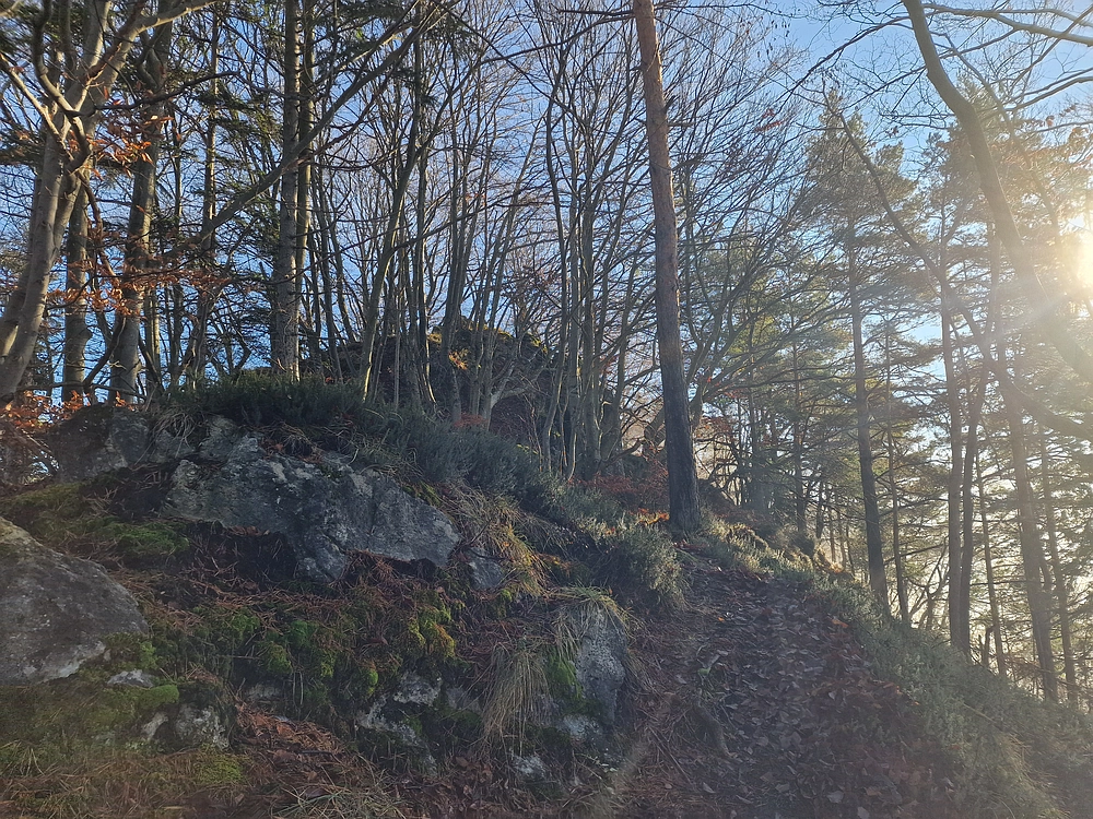 Ostrež, 7. 12. 2025