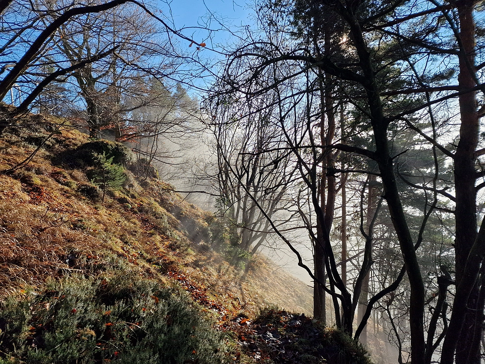 Ostrež, 7. 12. 2025