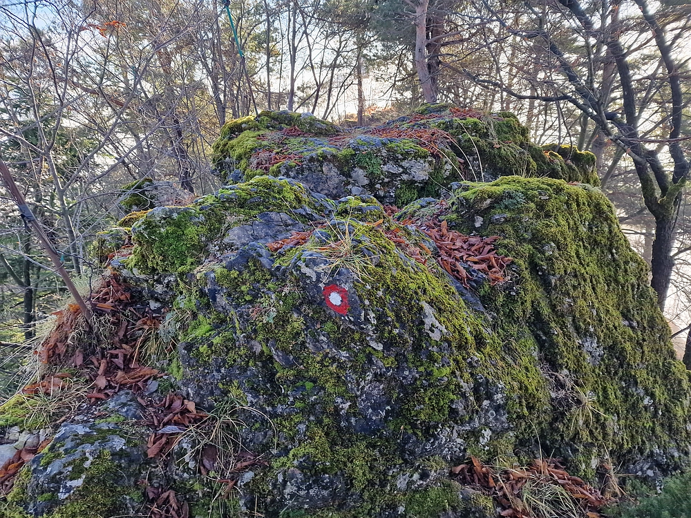 Ostrež, 7. 12. 2025