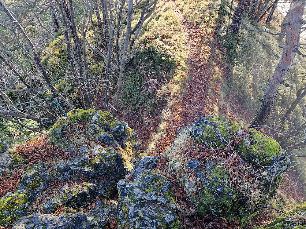 Ostrež, 7. 12. 2025