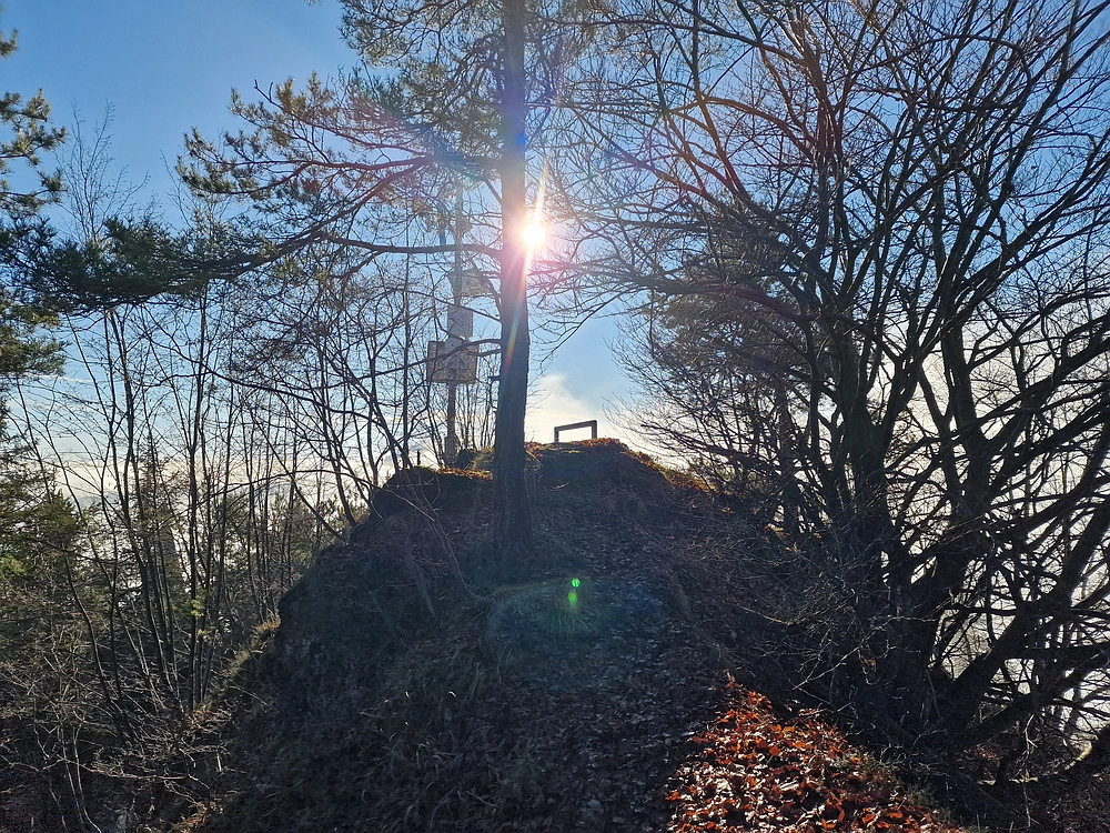 Ostrež, 7. 12. 2025