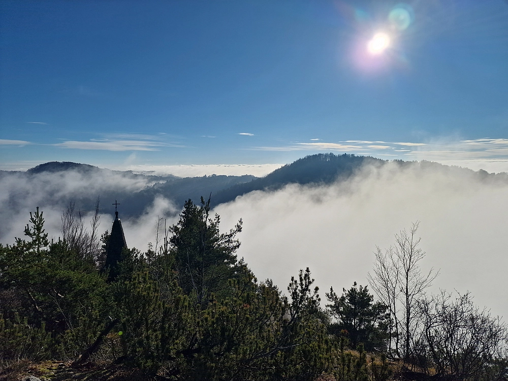 Ostrež, 7. 12. 2025