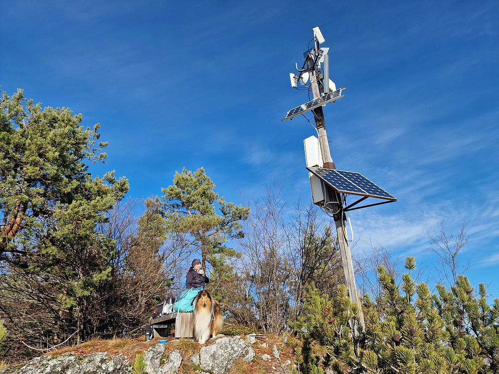 Ostrež, 7. 12. 2025