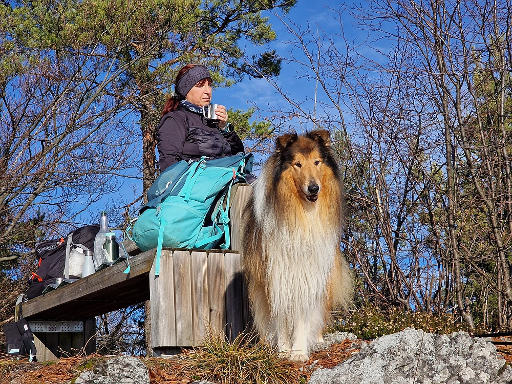 Ostrež, 7. 12. 2025