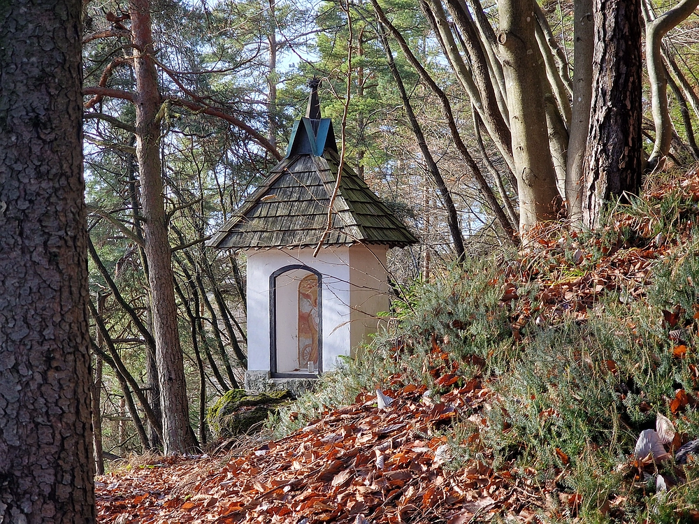 Ostrež, 7. 12. 2025