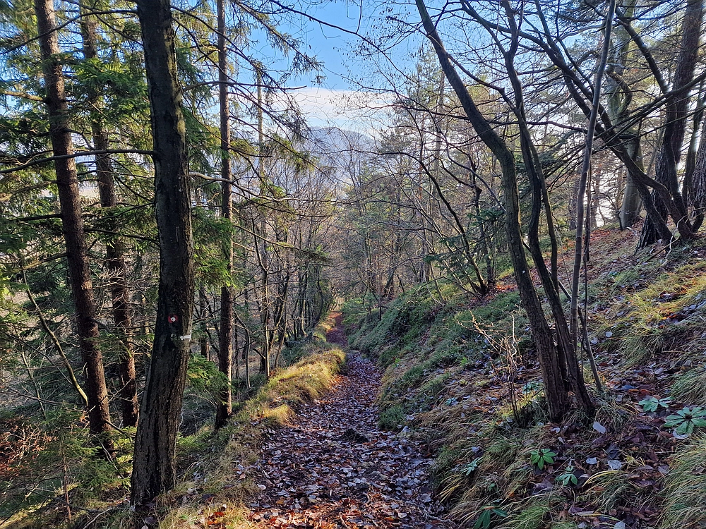 Ostrež, 7. 12. 2025