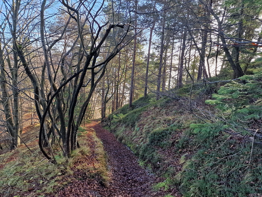 Ostrež, 7. 12. 2025