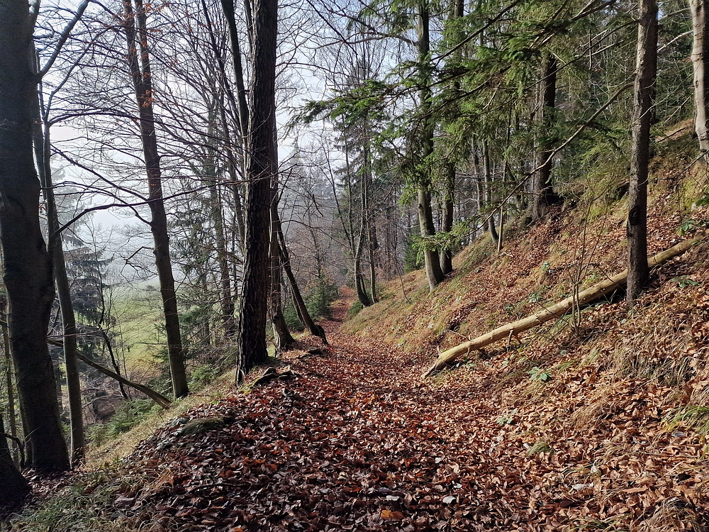 Ostrež, 7. 12. 2025