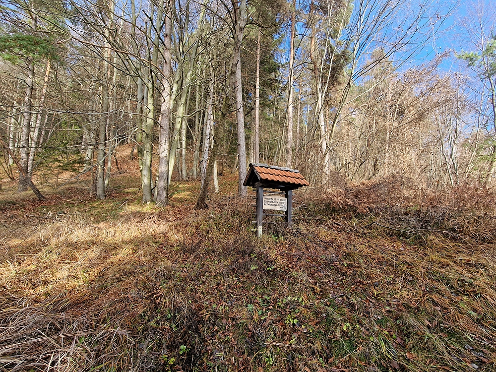 Ostrež, 7. 12. 2025