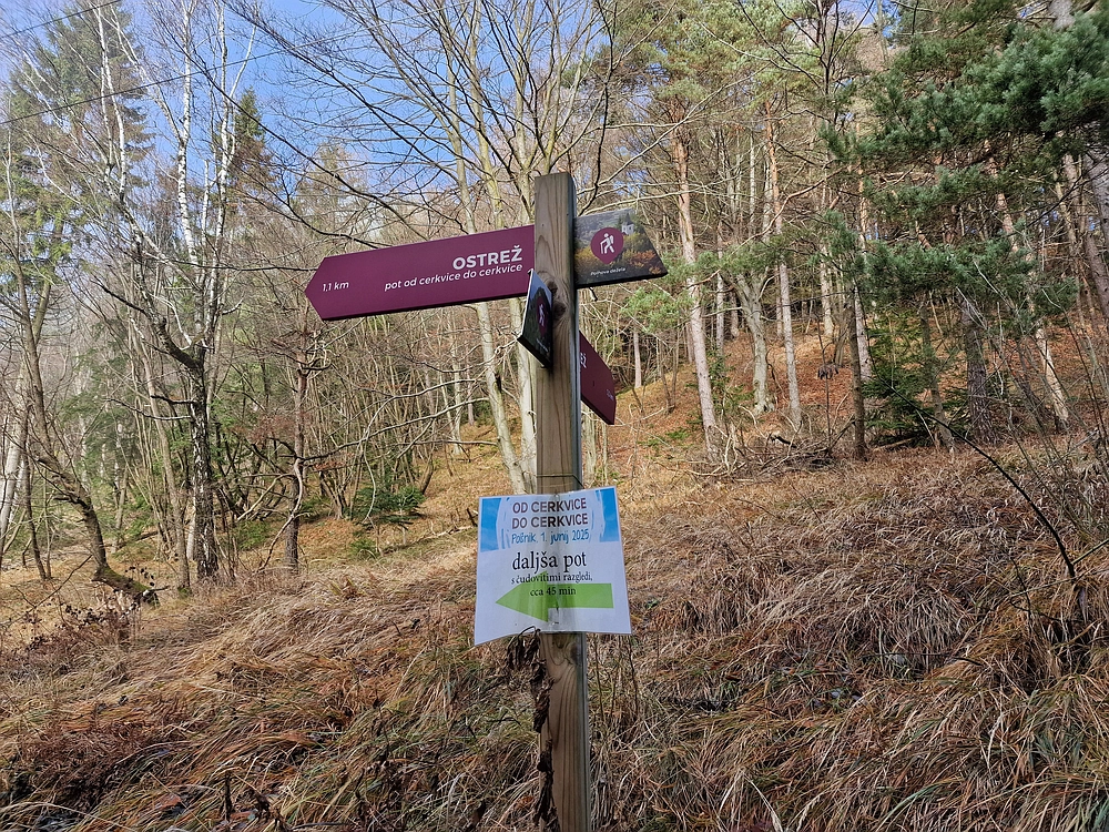 Ostrež, 7. 12. 2025