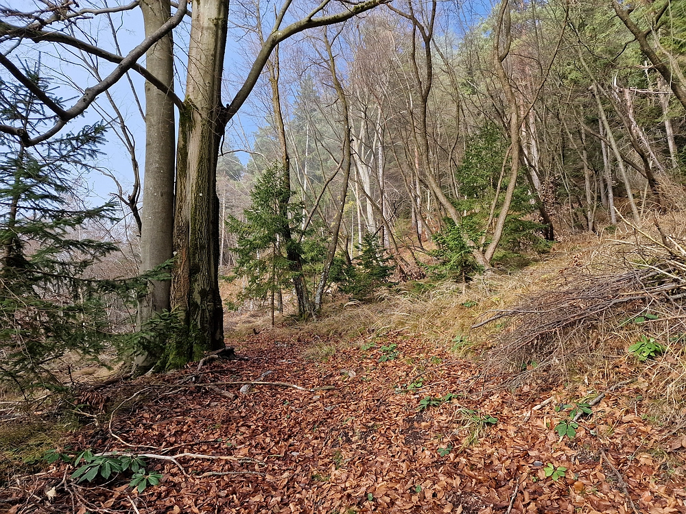 Ostrež, 7. 12. 2025