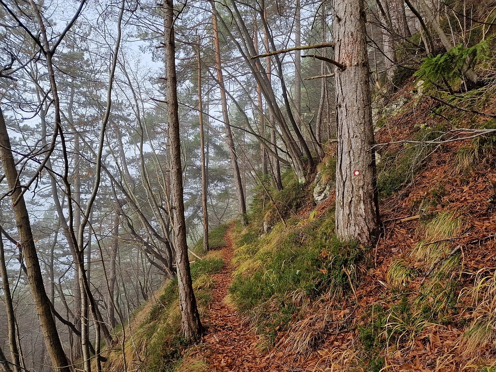 Ostrež, 7. 12. 2025