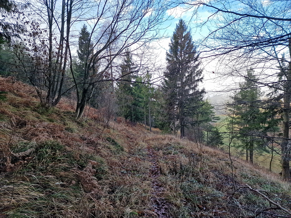 Ostrež, 7. 12. 2025