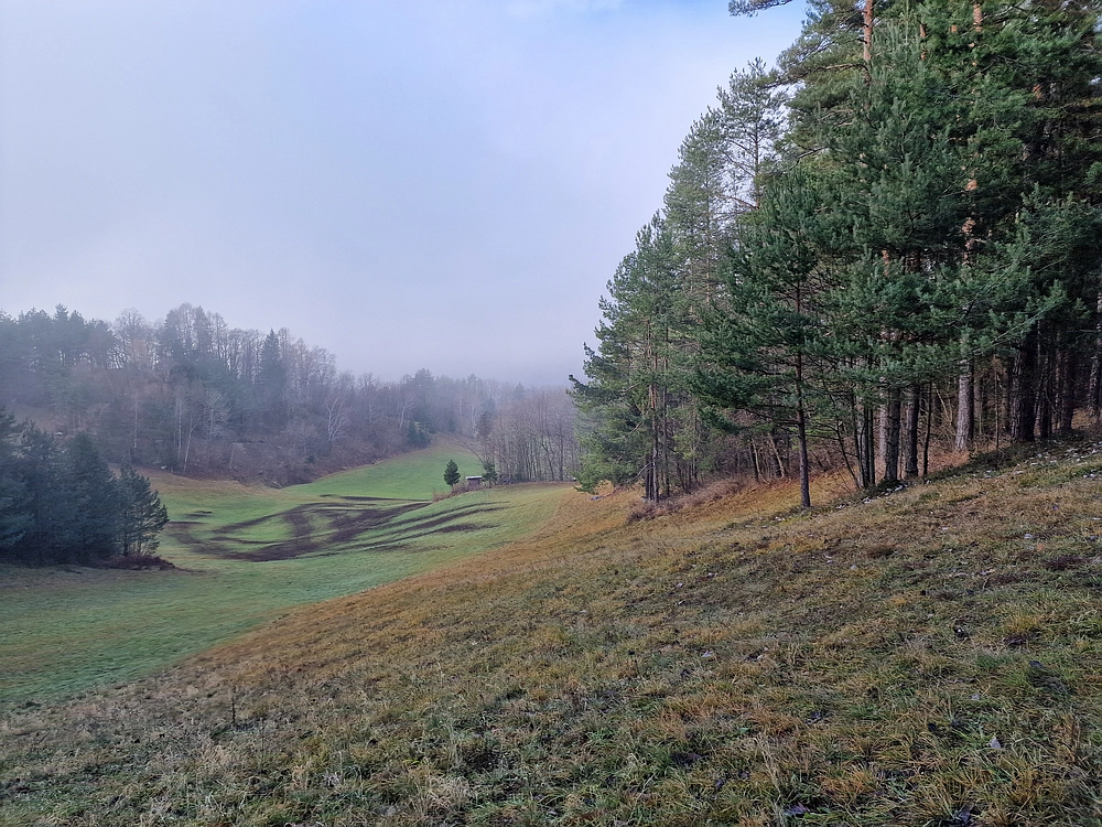 Ostrež, 7. 12. 2025