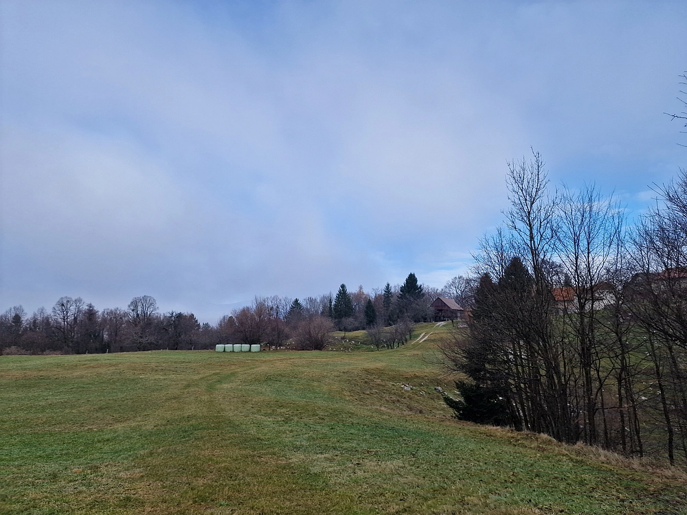 Ostrež, 7. 12. 2025