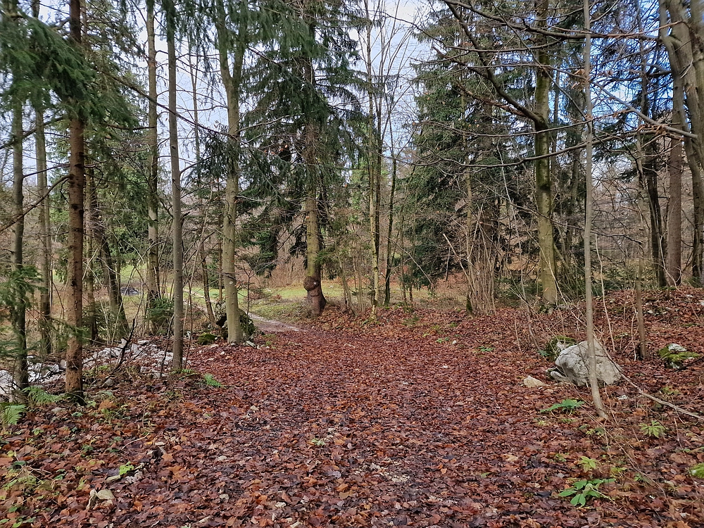 Ostrež, 7. 12. 2025