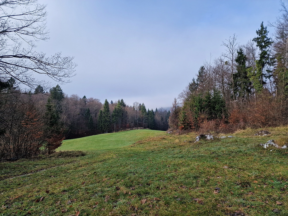 Ostrež, 7. 12. 2025