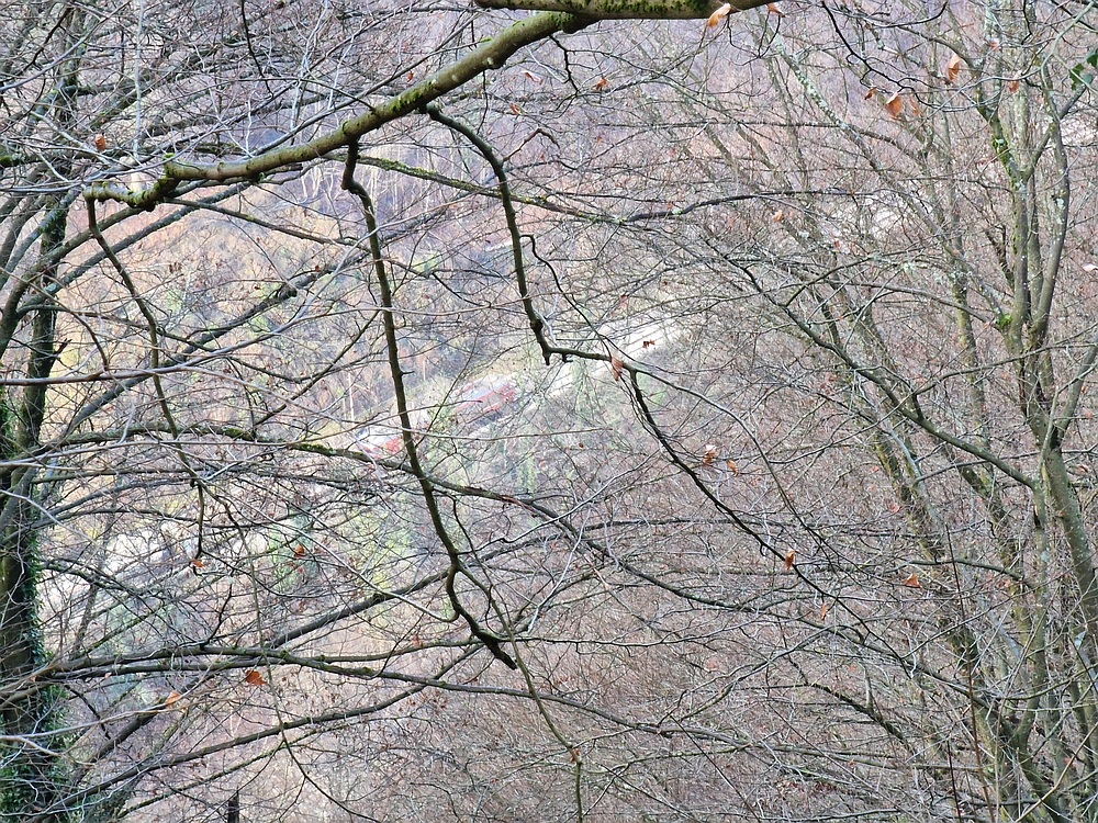 Ostrež, 7. 12. 2025