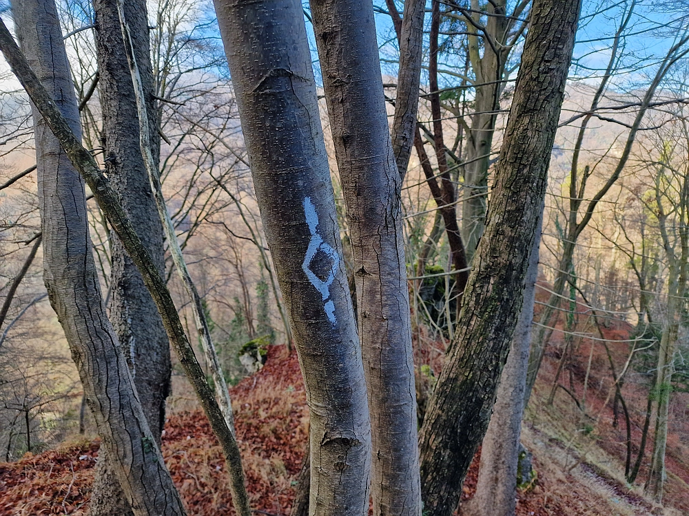 Ostrež, 7. 12. 2025