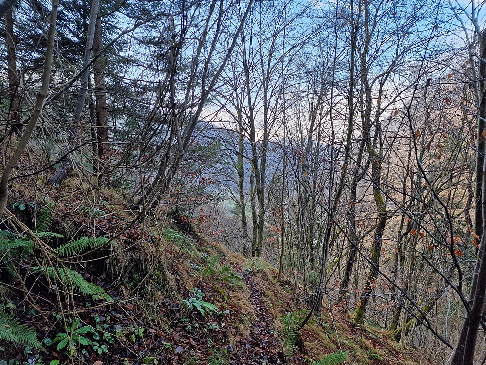 Ostrež, 7. 12. 2025