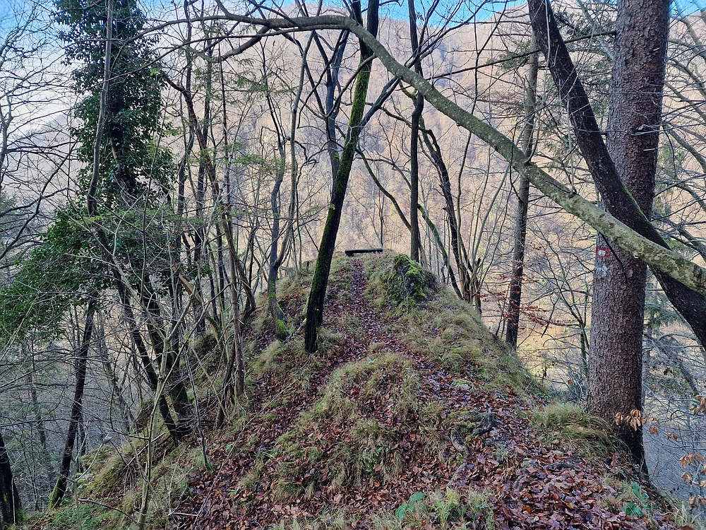 Ostrež, 7. 12. 2025