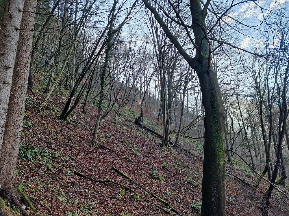 Ostrež, 7. 12. 2025