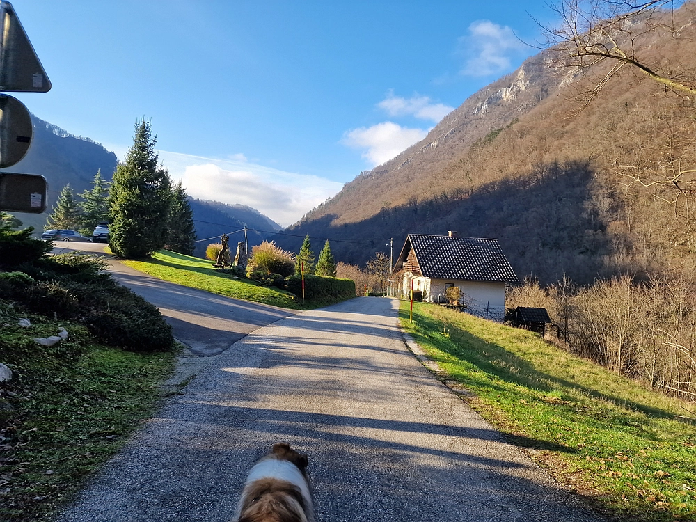 Ostrež, 7. 12. 2025