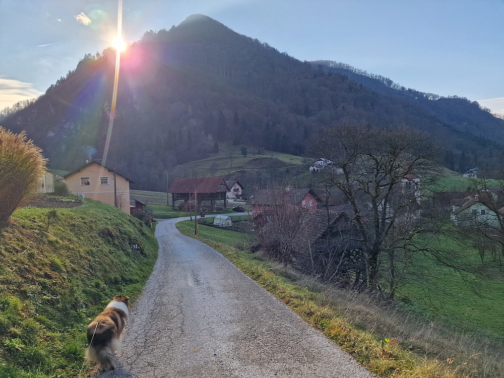 Ostrež, 7. 12. 2025