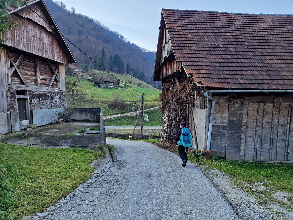 Ostrež, 7. 12. 2025