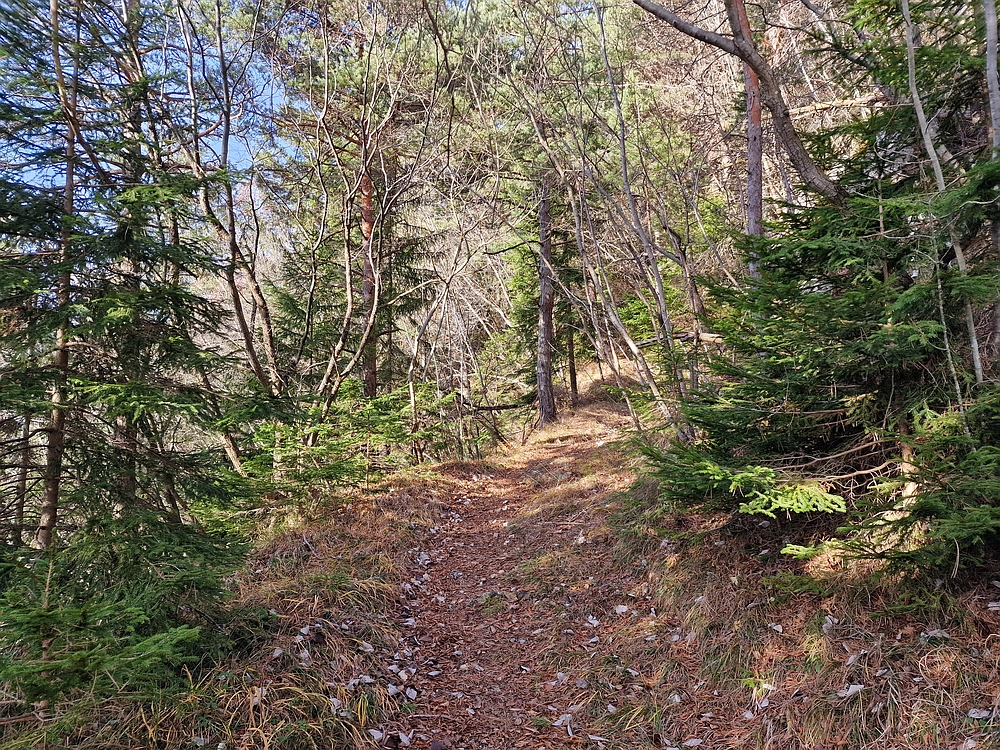 Razbor - Čemšeniška planina, 13. 12. 2025