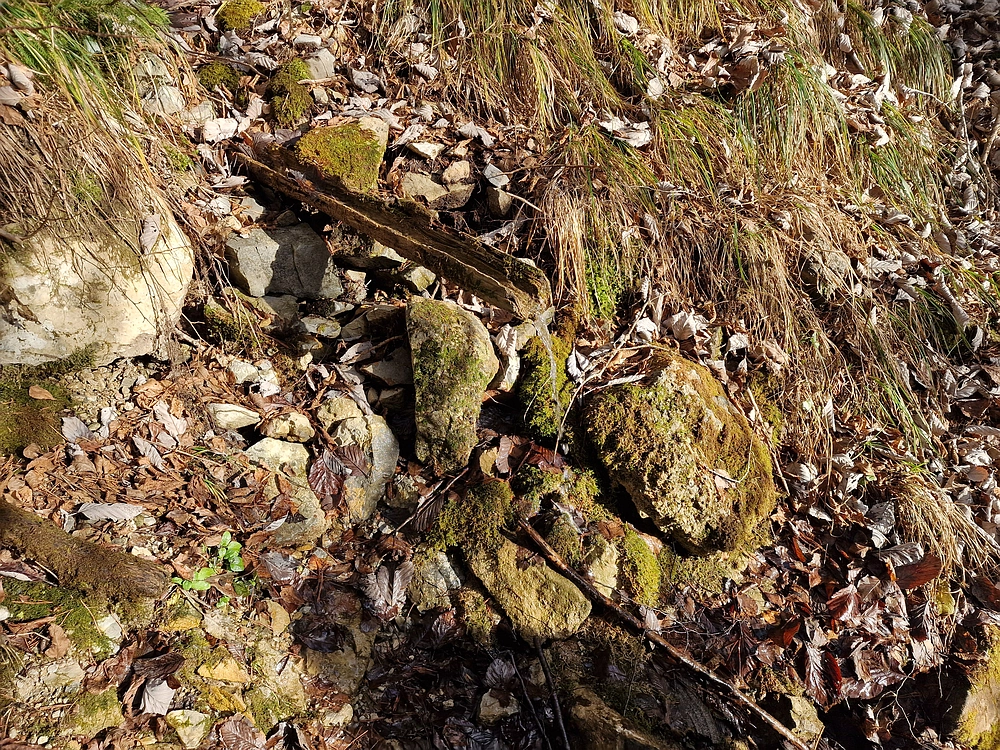 Razbor - Čemšeniška planina, 13. 12. 2025