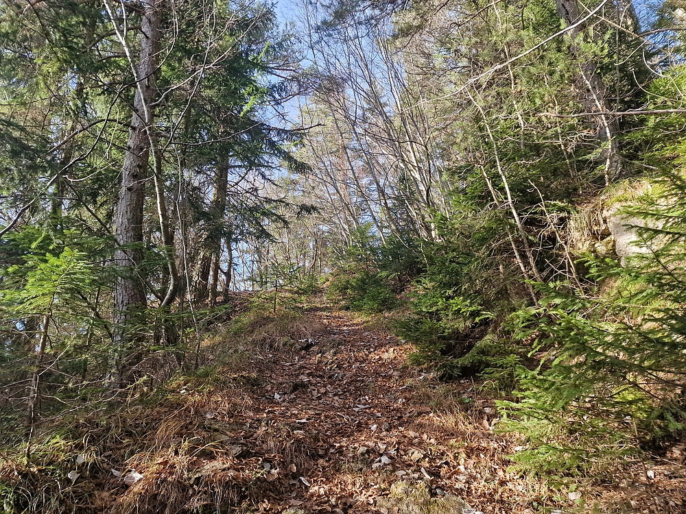 Razbor - Čemšeniška planina, 13. 12. 2025