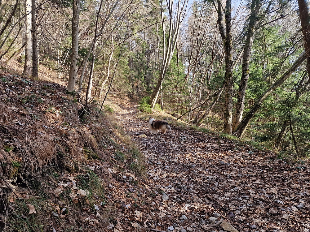 Razbor - Čemšeniška planina, 13. 12. 2025